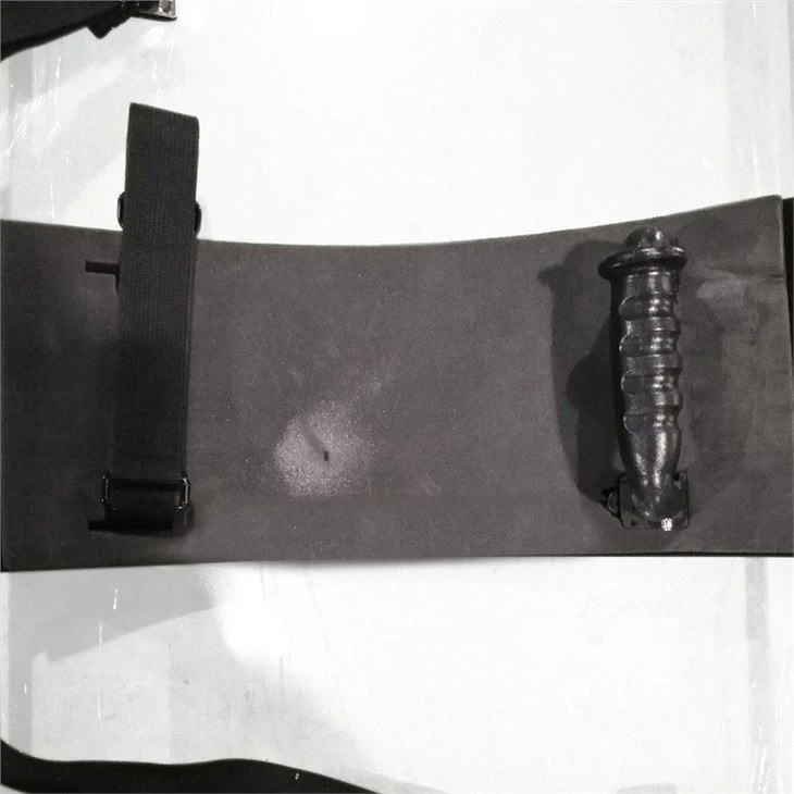 Bengal Anti Riot Shield Police Safety Shield For Military
